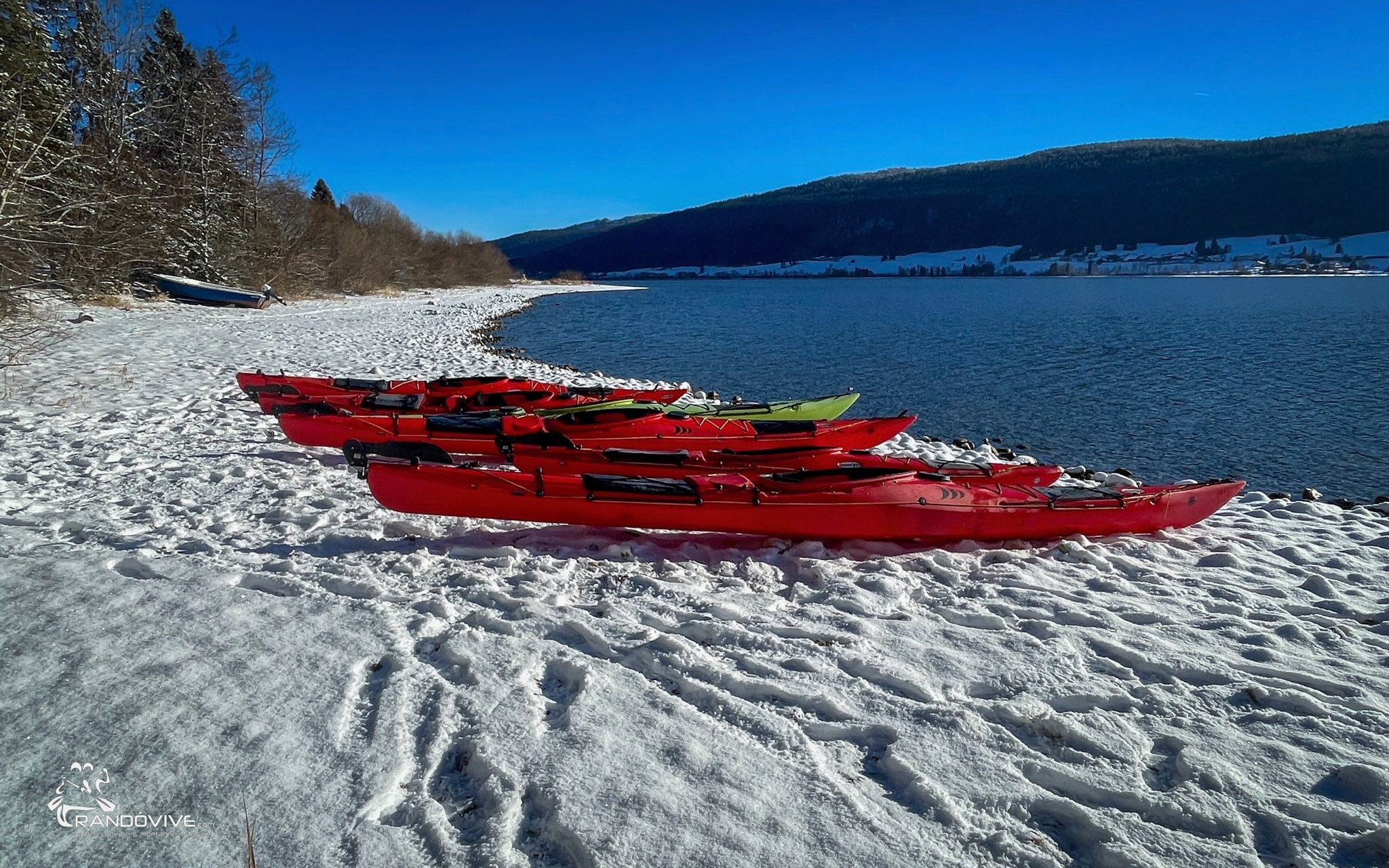 612229557_1730225778280855_5443105480303635413_n